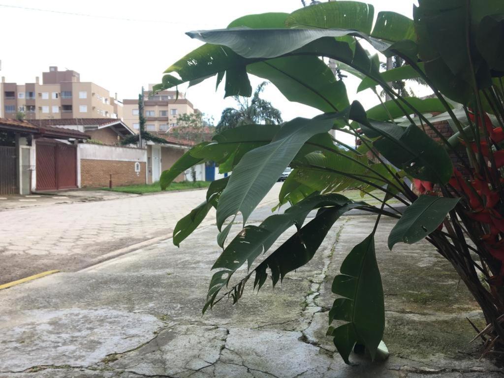 Efferus Hostel Ubatuba Eksteriør bilde